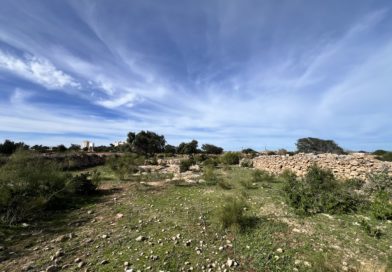 Vente terrain à 20 minutes d Essaouira